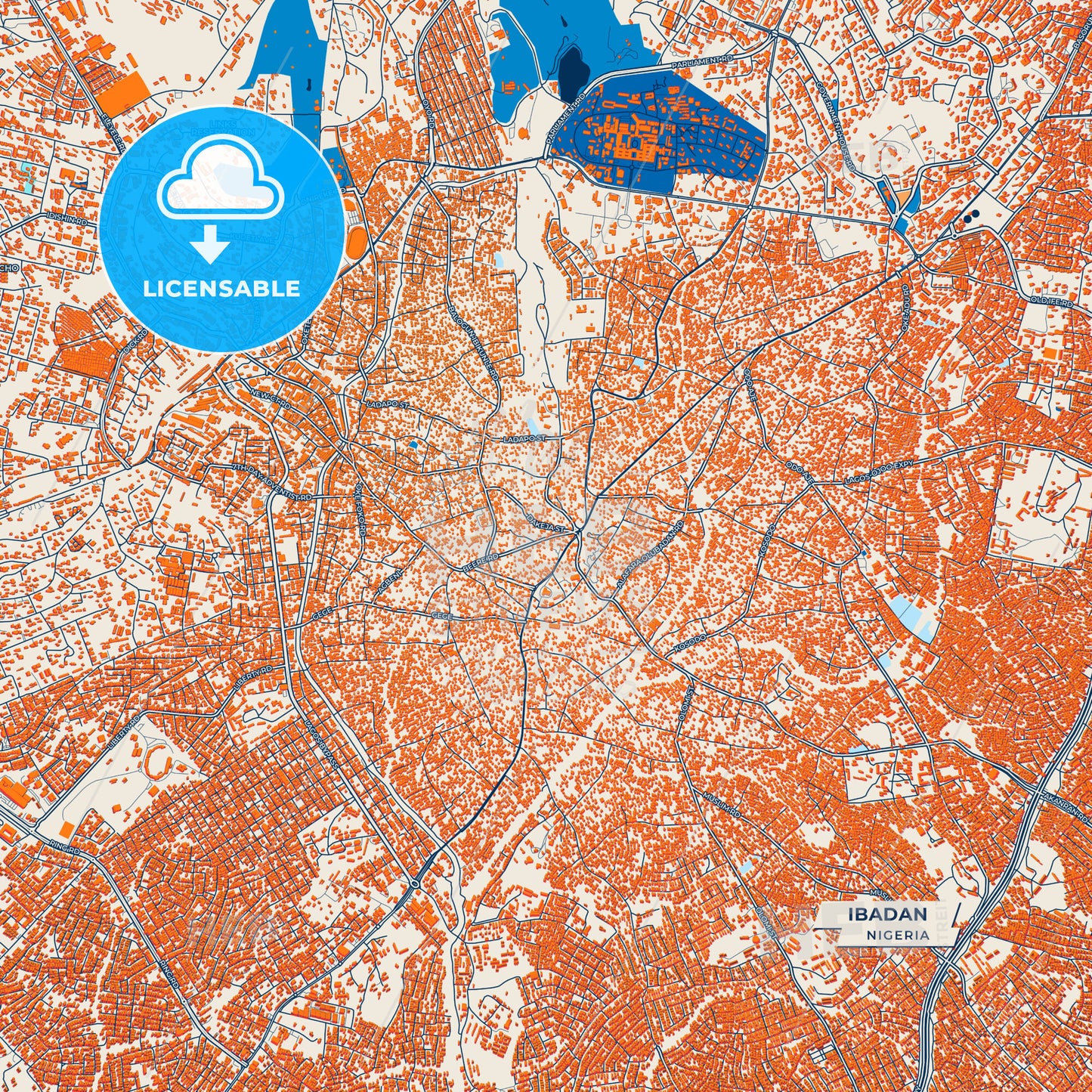 Canvas Print Template of Ibadan Street Map