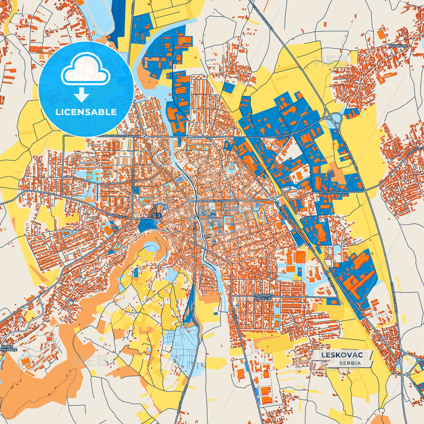 Canvas Print Template of Leskovac Street Map