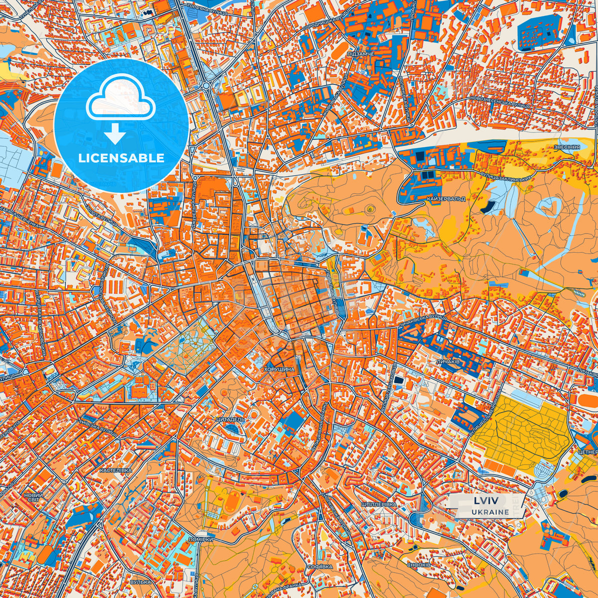 Canvas Print Template of Lviv Street Map