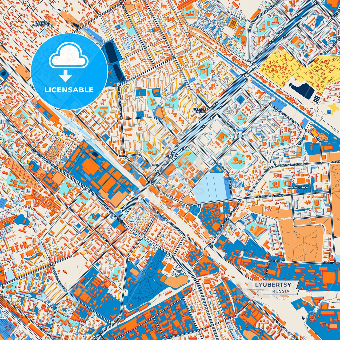 Canvas Print Template of Lyubertsy Street Map