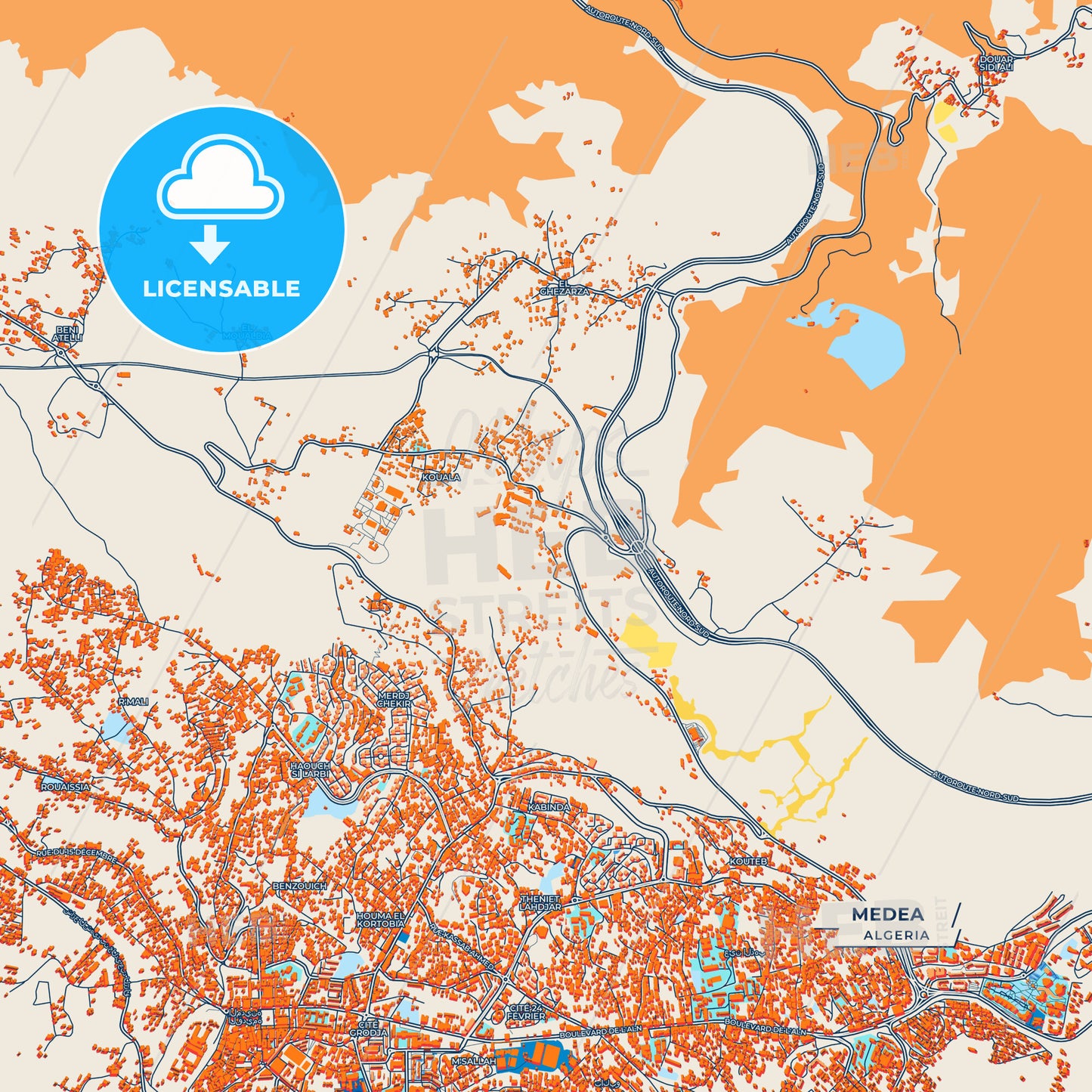 Canvas Print Template of Medea Street Map