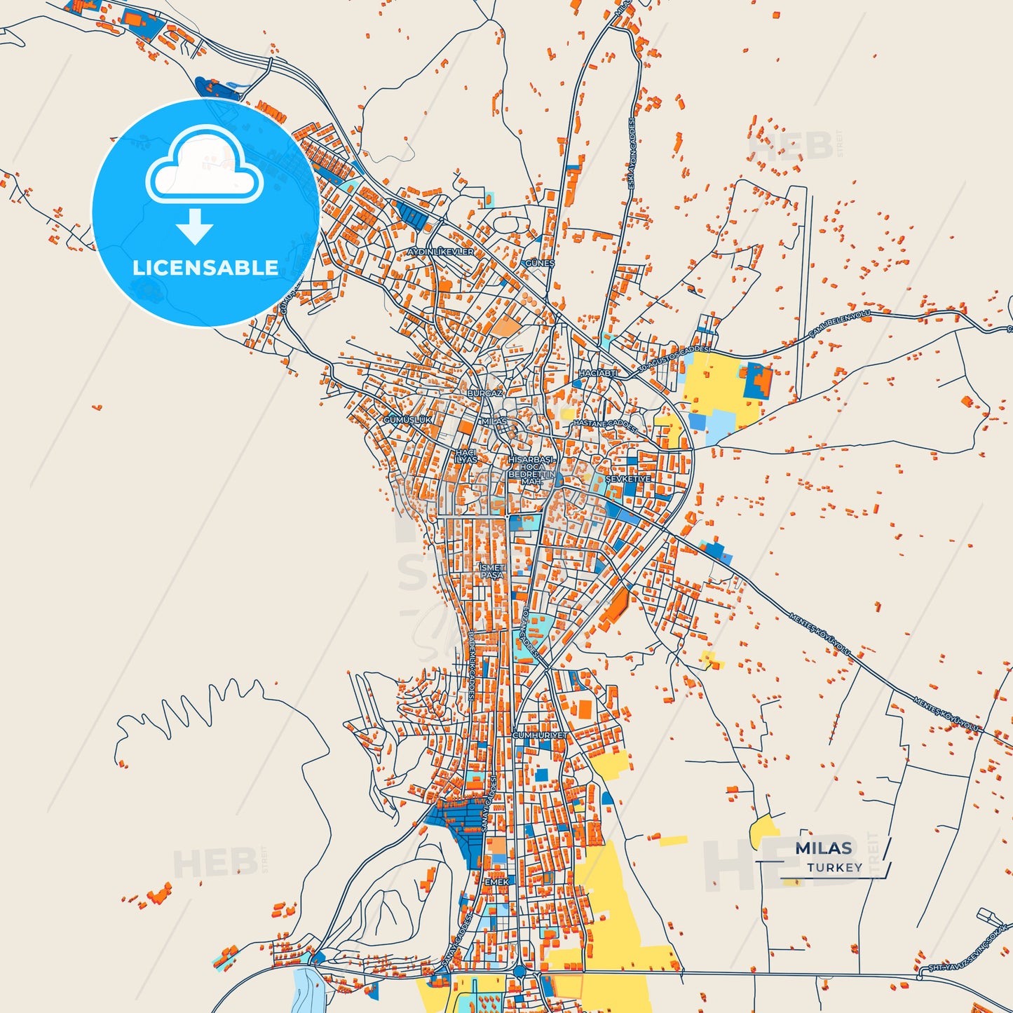 Canvas Print Template of Milas Street Map