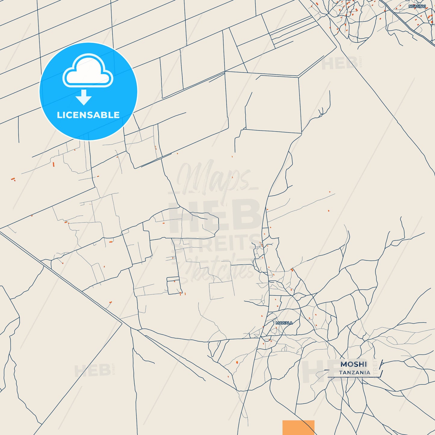 Canvas Print Template of Moshi Street Map
