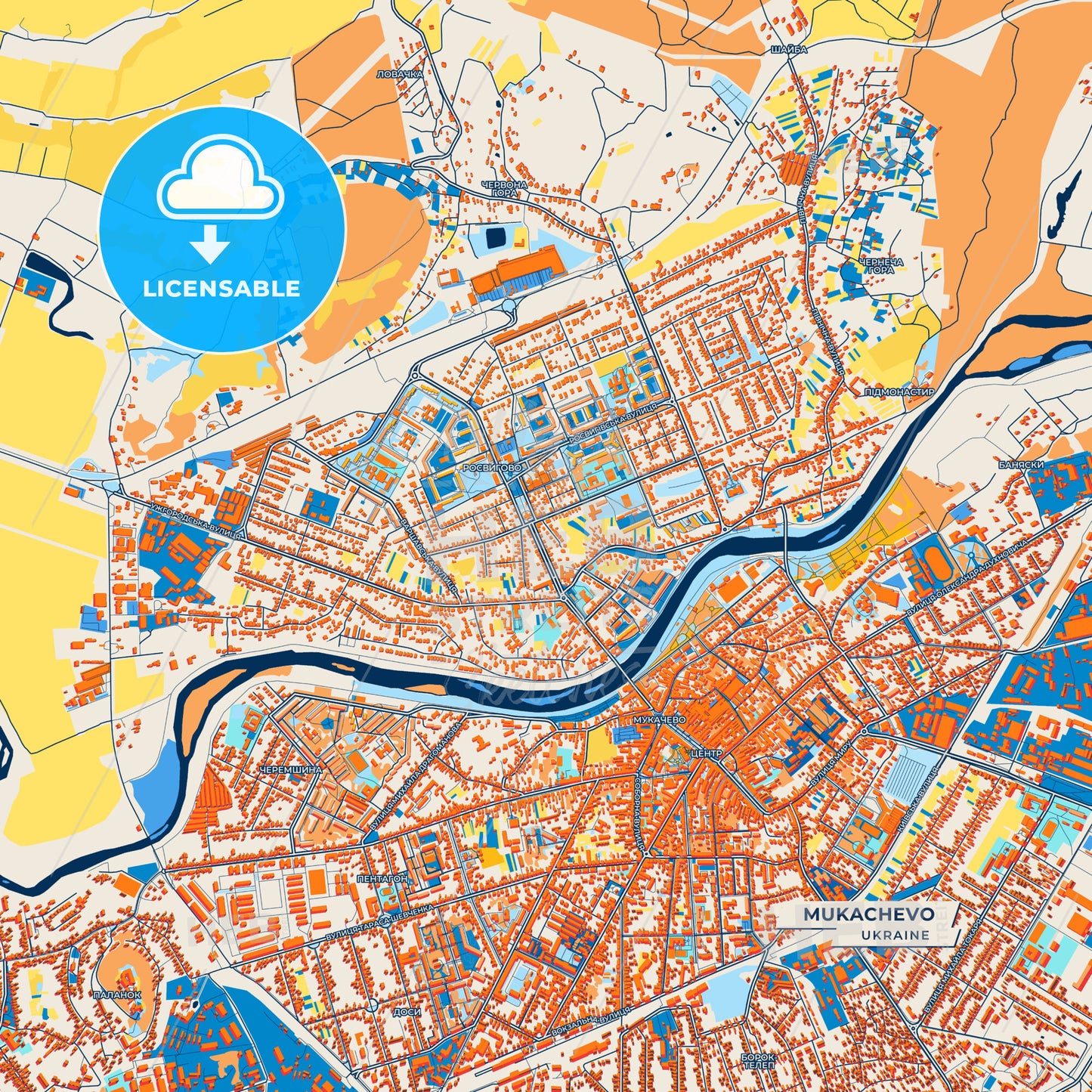 Canvas Print Template of Mukachevo Street Map
