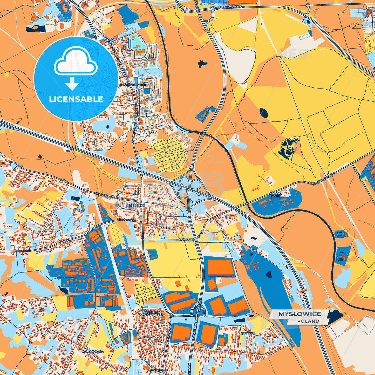 Canvas Print Template of Mysłowice Street Map