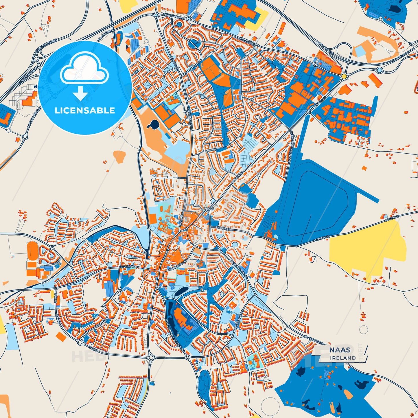 Canvas Print Template of Naas Street Map