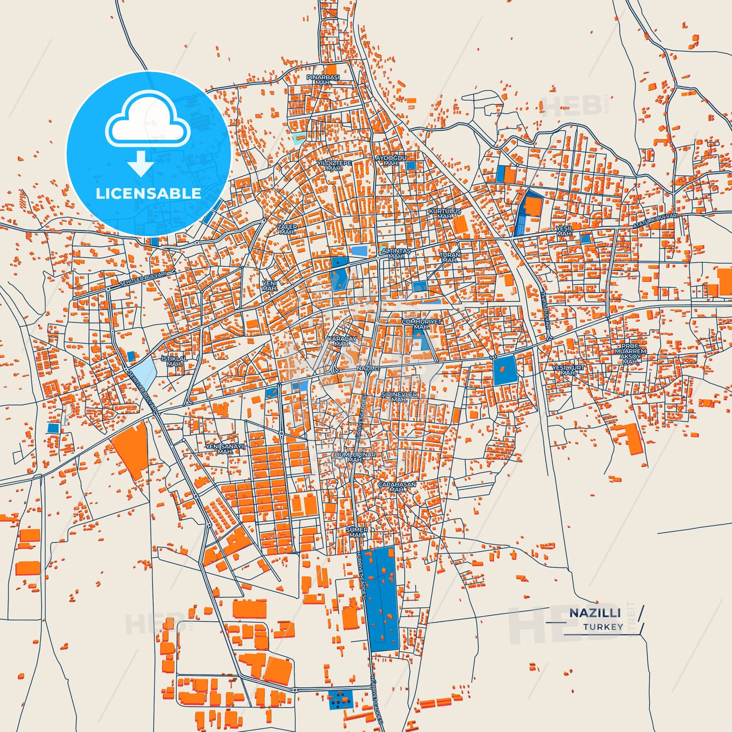 Canvas Print Template of Nazilli Street Map