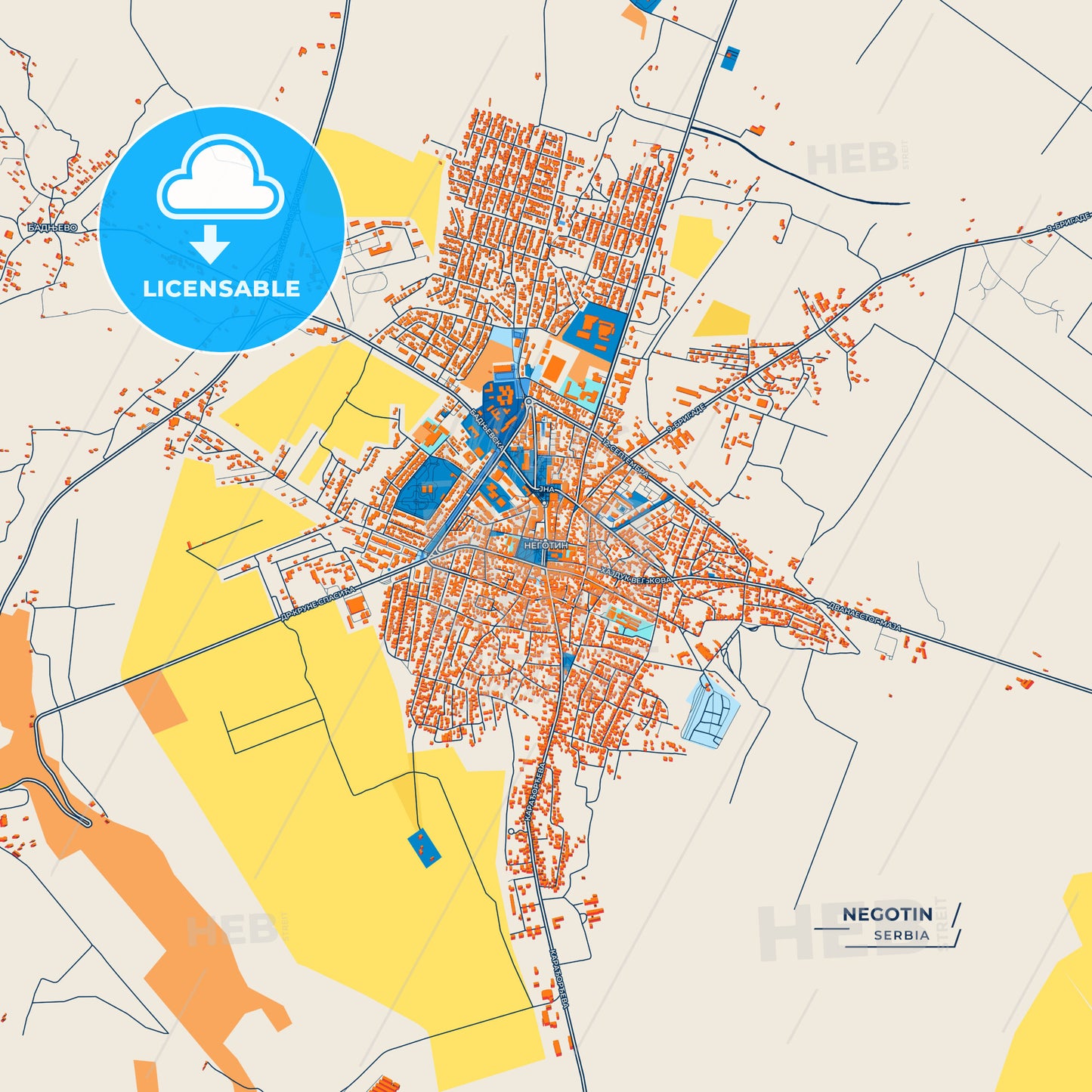 Canvas Print Template of Negotin Street Map