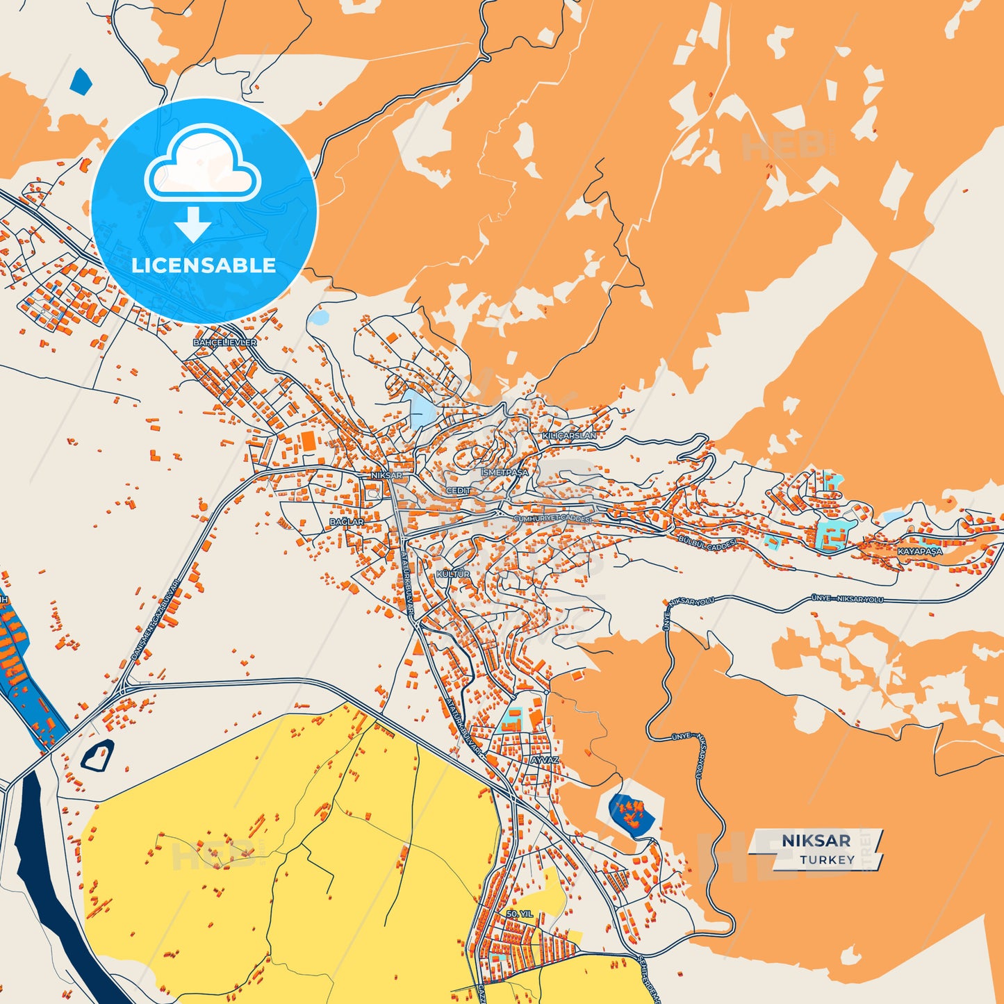Canvas Print Template of Niksar Street Map