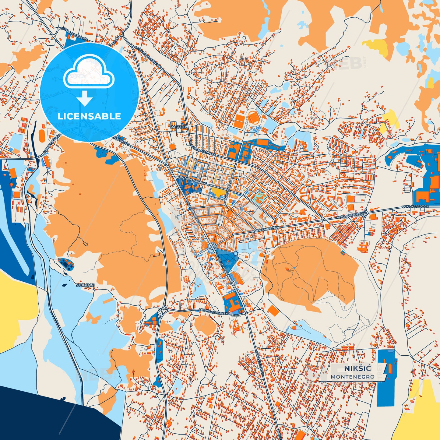 Canvas Print Template of Nikšić Street Map
