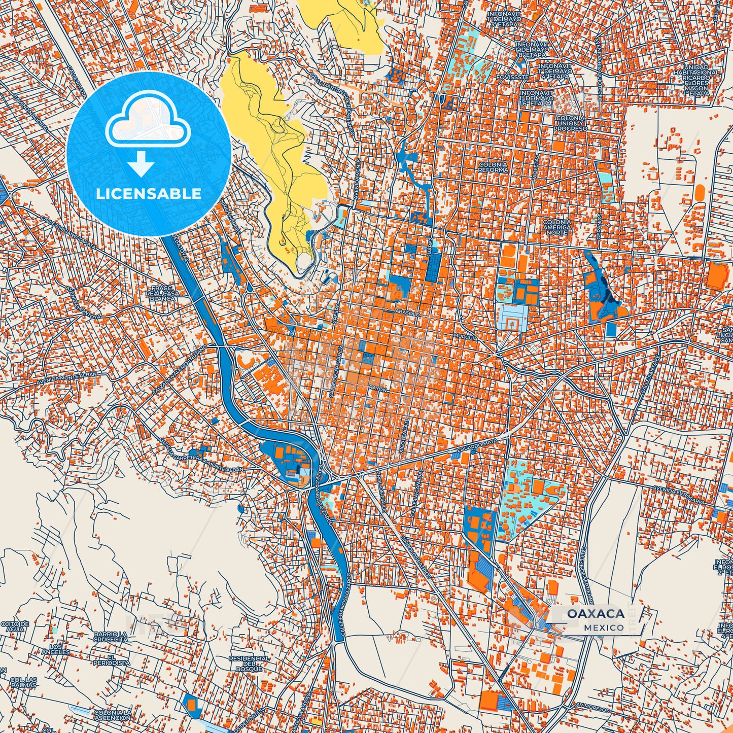 Canvas Print Template of Oaxaca Street Map