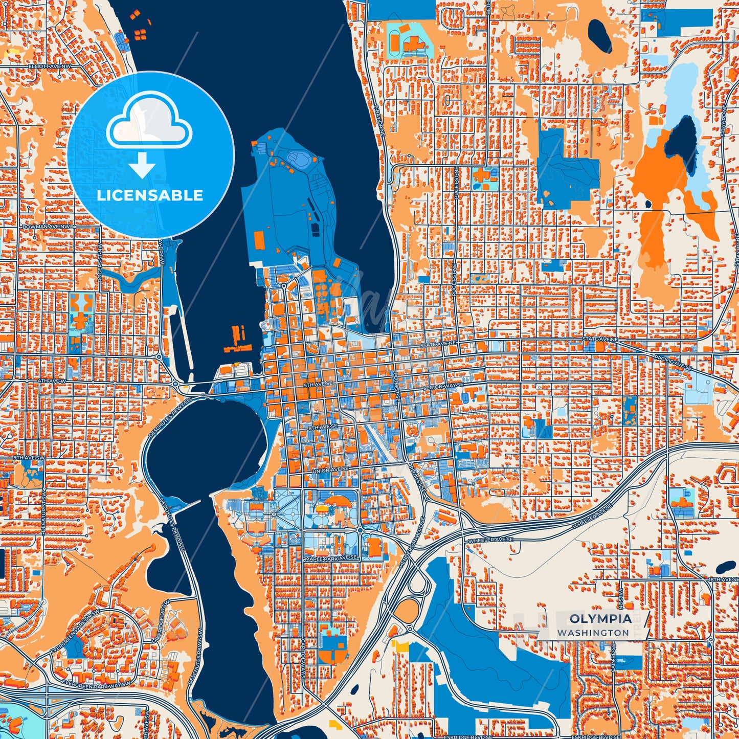 Canvas Print Template of Olympia Street Map