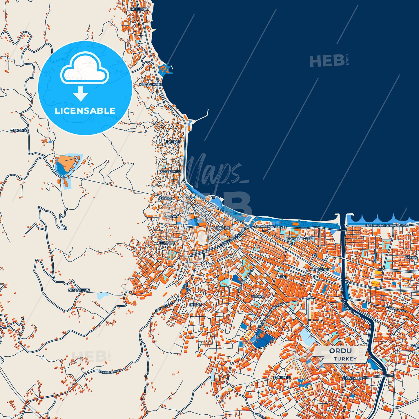Canvas Print Template of Ordu Street Map