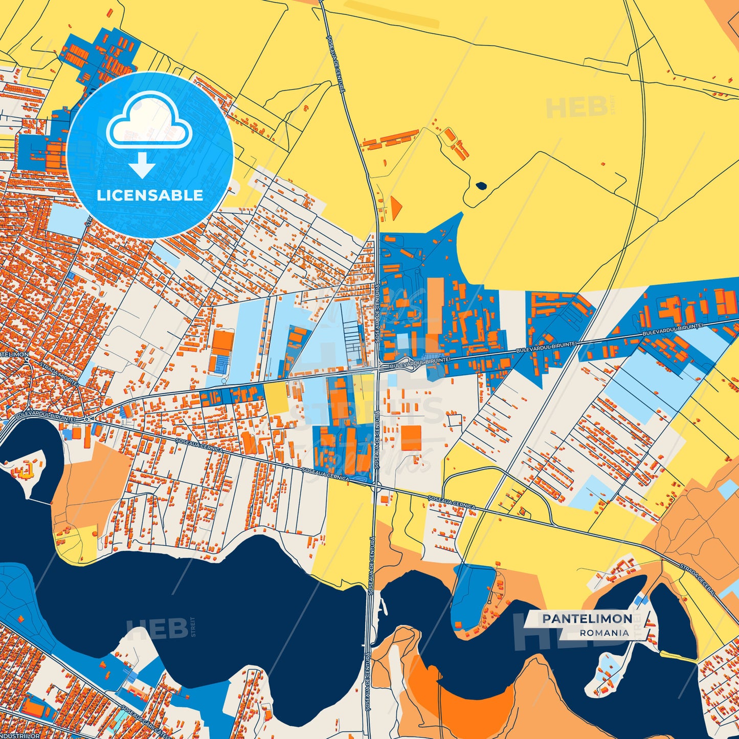 Canvas Print Template of Pantelimon Street Map