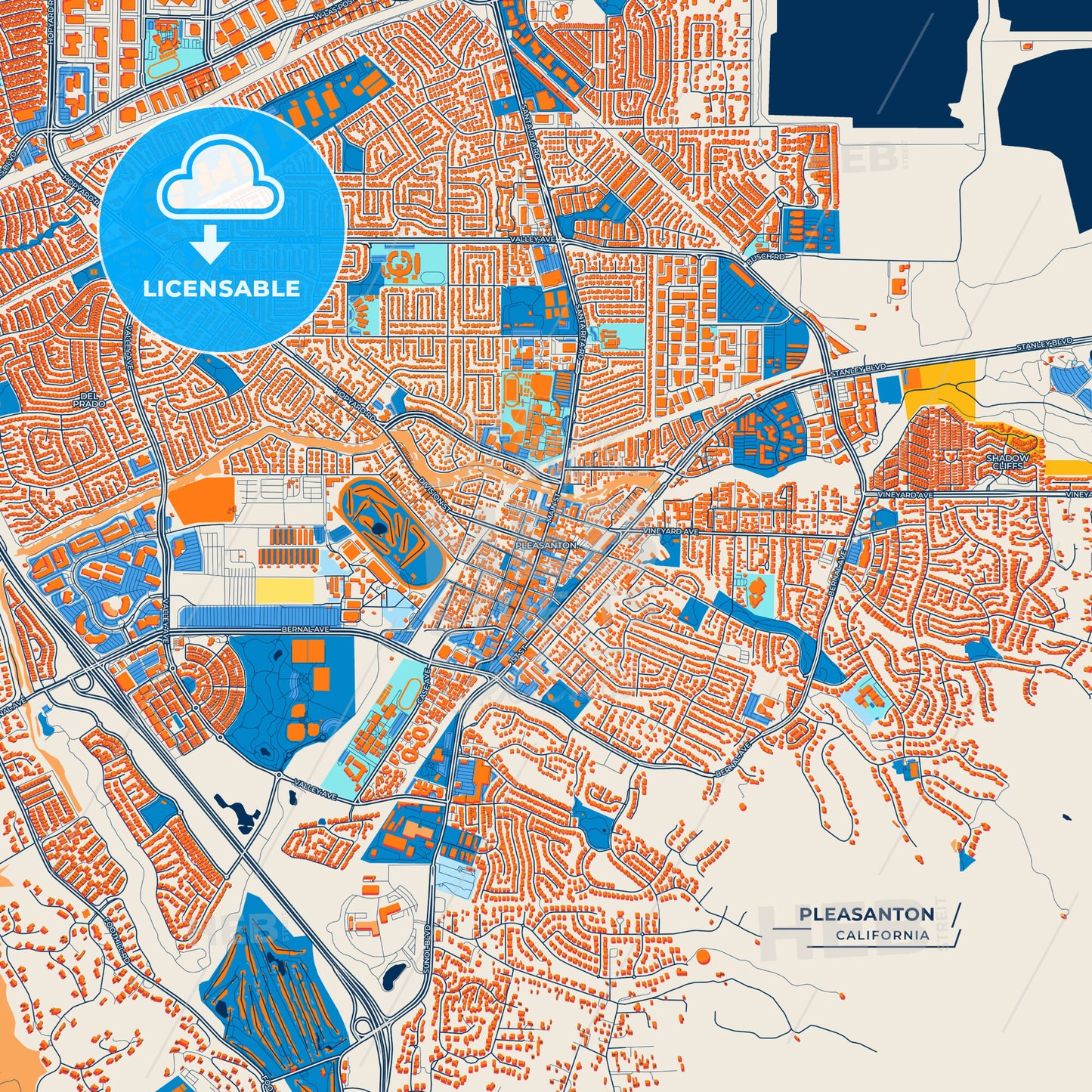 Canvas Print Template of Pleasanton Street Map