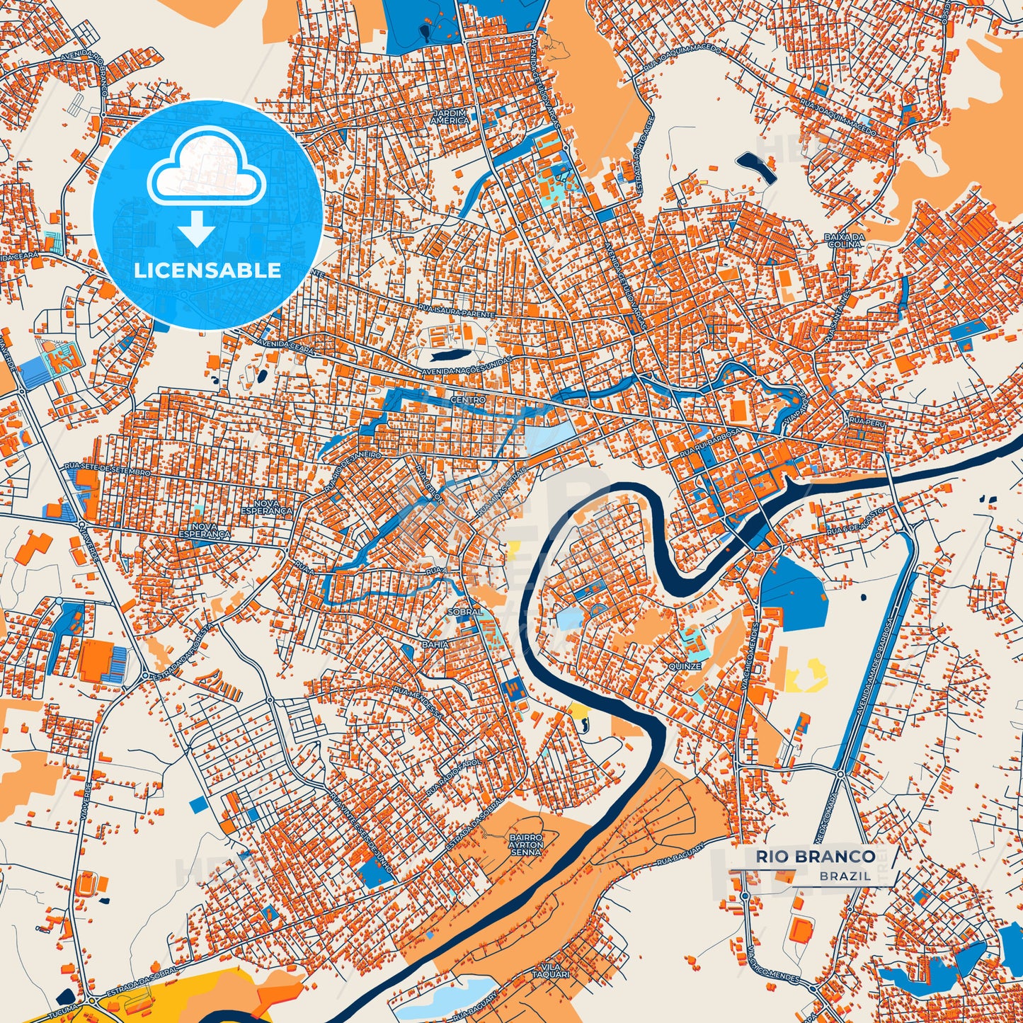 Canvas Print Template of Rio Branco Street Map