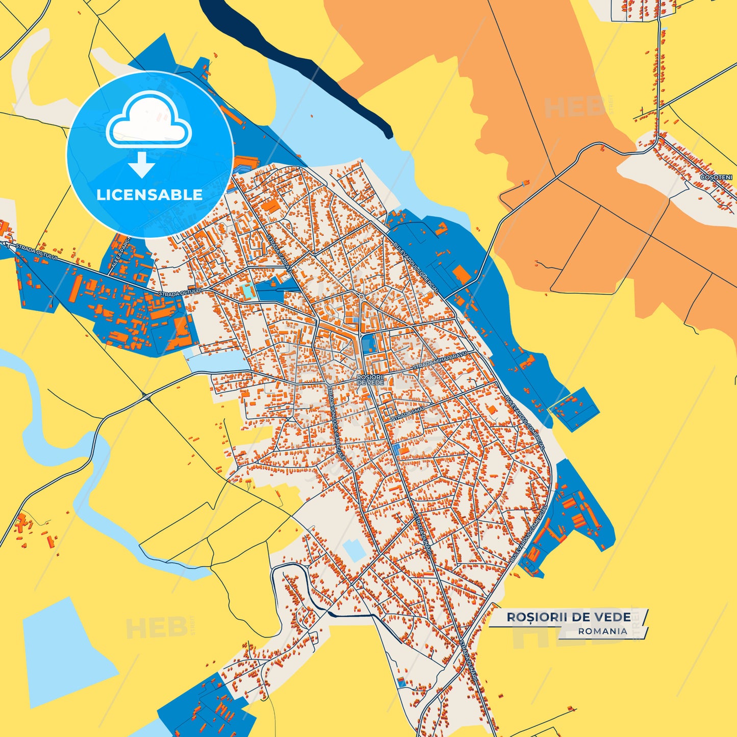Canvas Print Template of Roșiorii de Vede Street Map