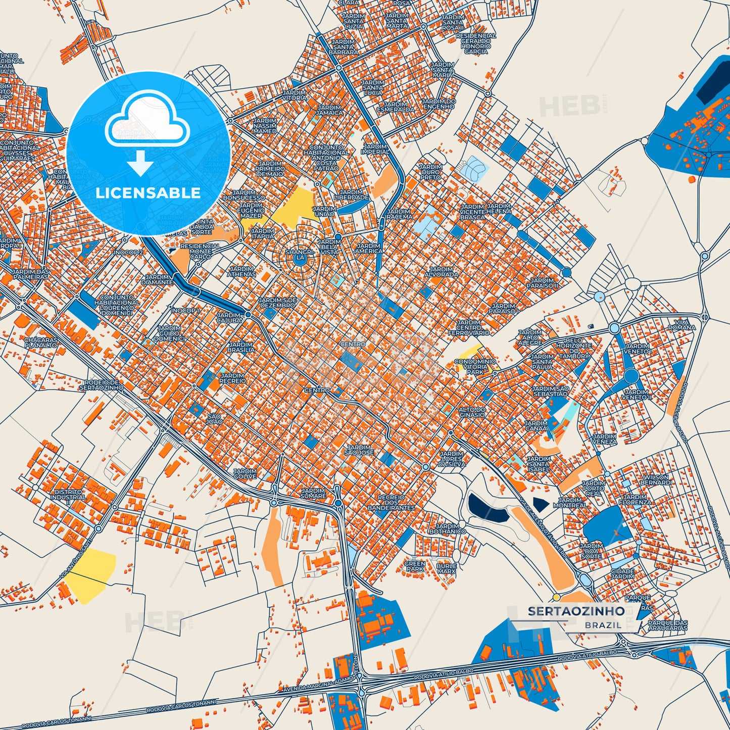 Canvas Print Template of Sertaozinho Street Map