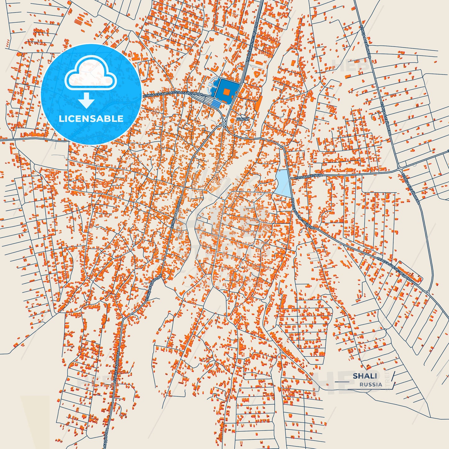 Canvas Print Template of Shali Street Map