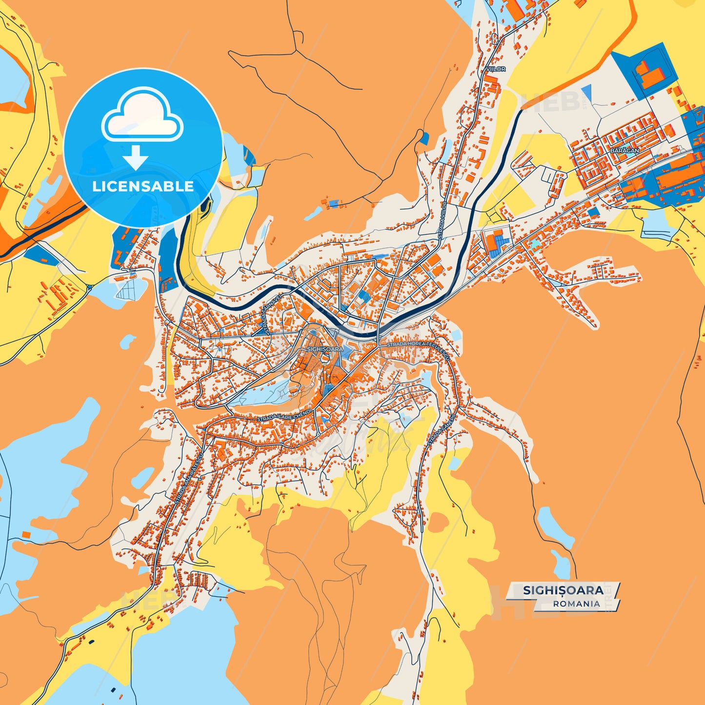 Canvas Print Template of Sighișoara Street Map