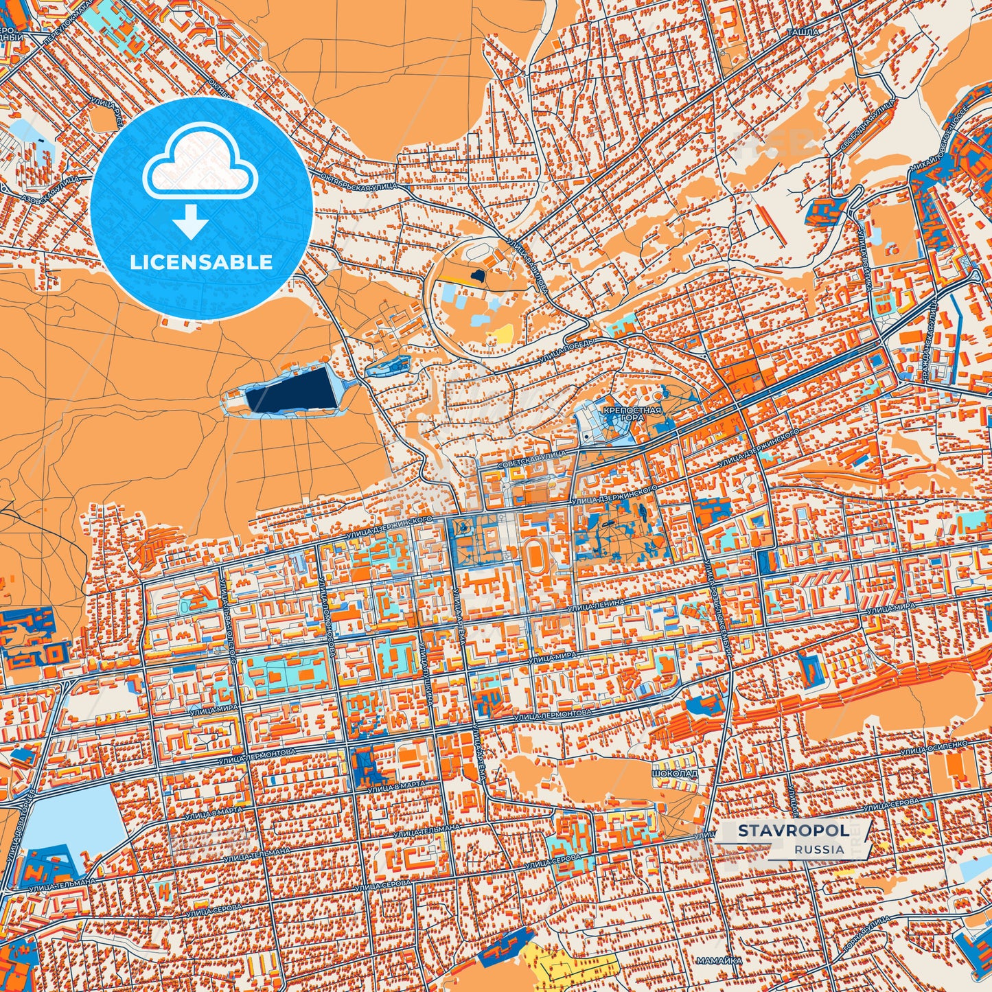 Canvas Print Template of Stavropol Street Map