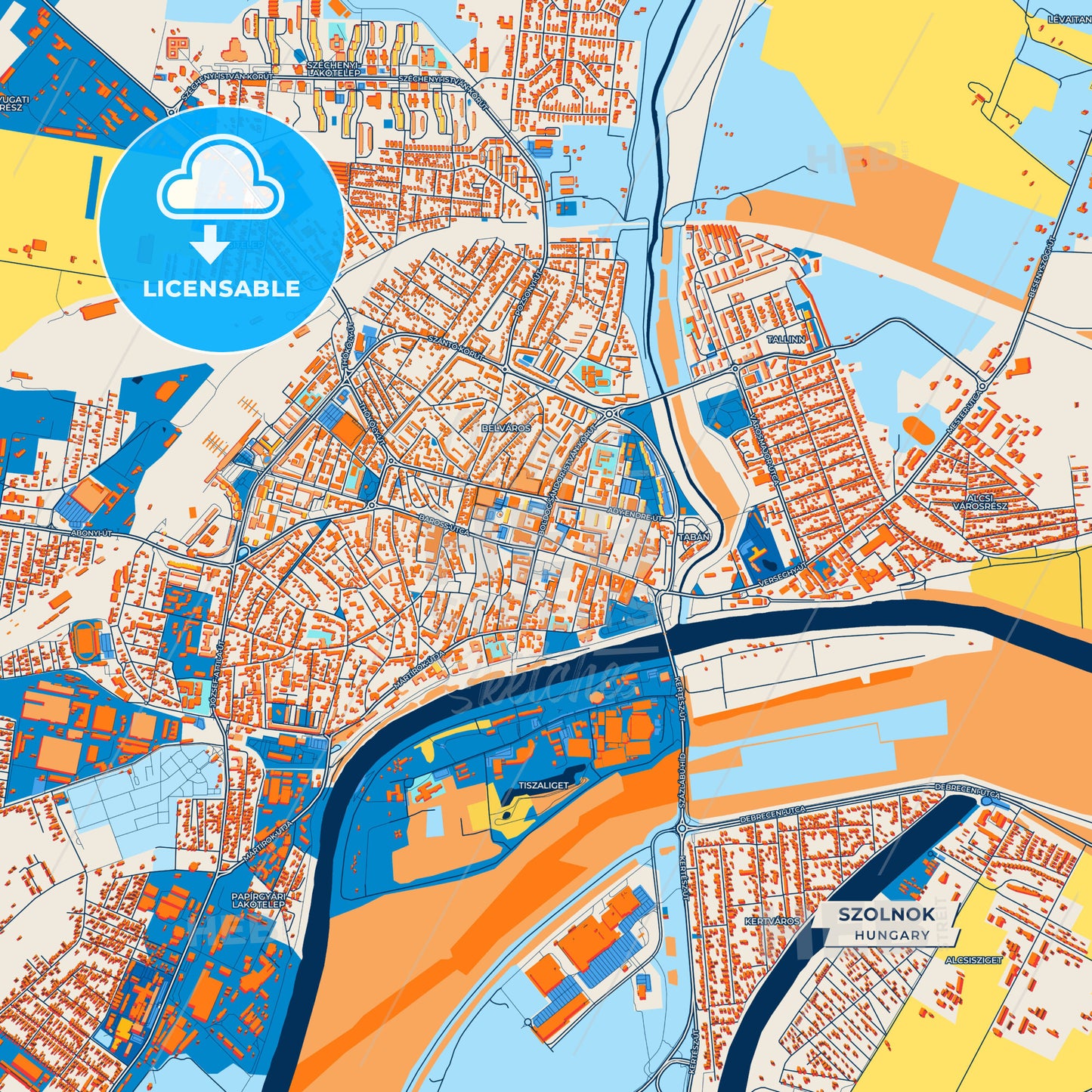Canvas Print Template of Szolnok Street Map