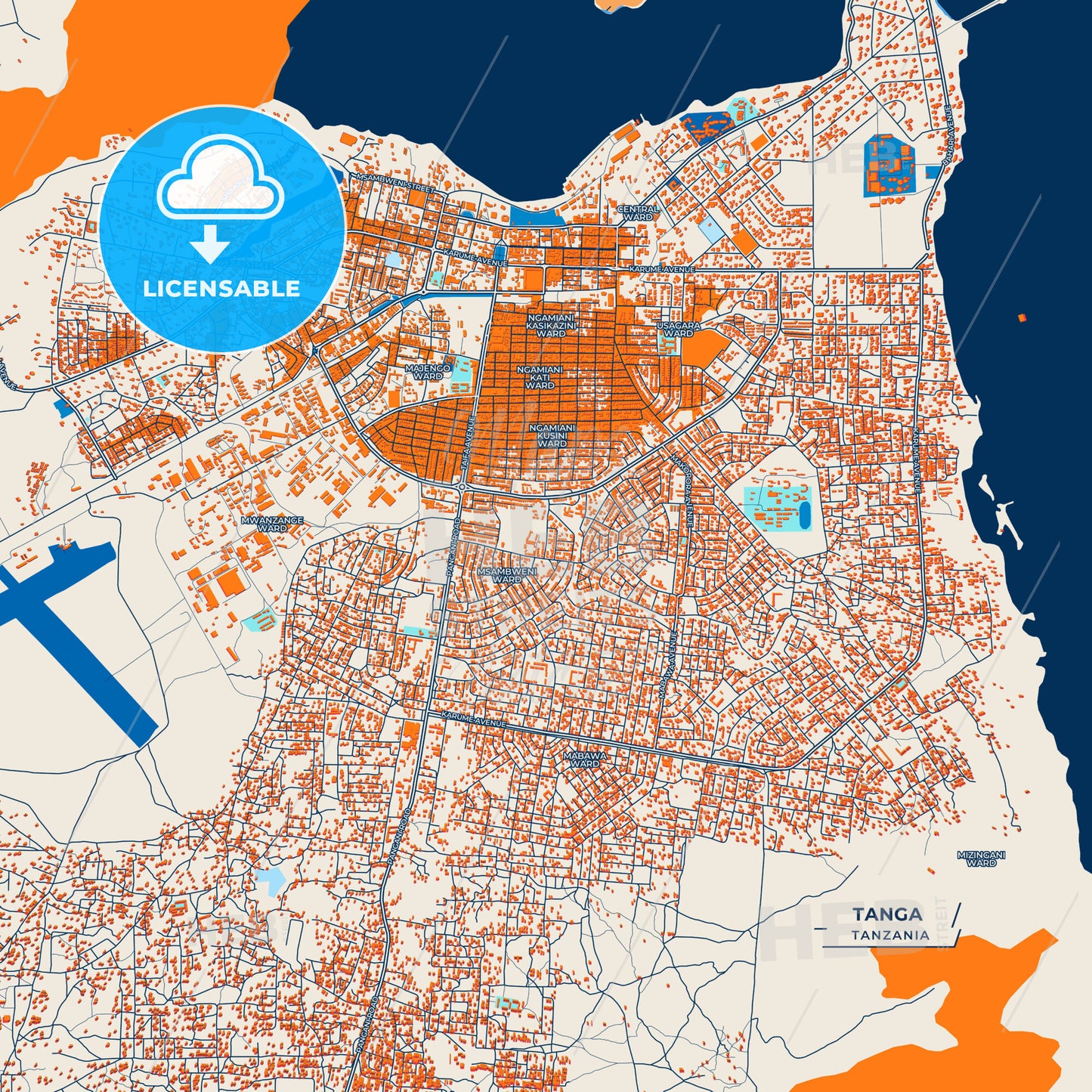 Canvas Print Template of Tanga Street Map