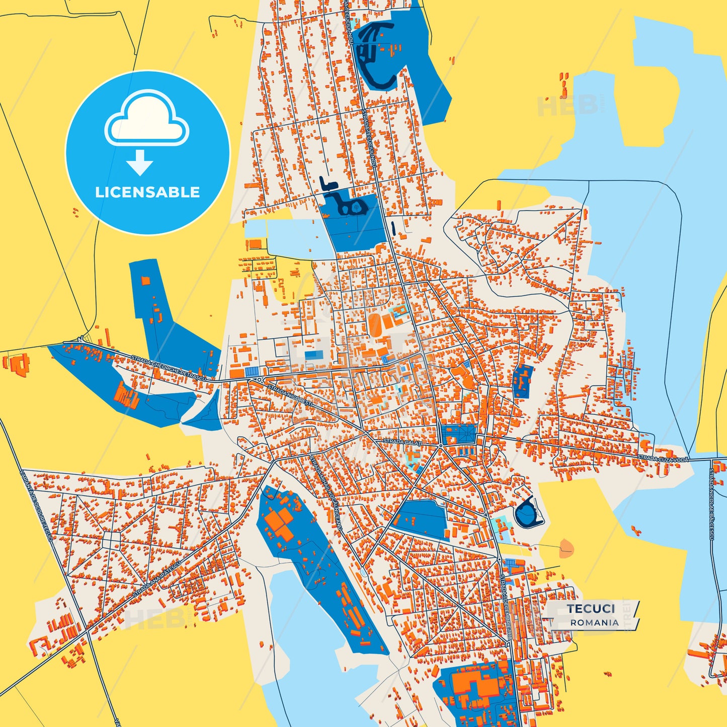 Canvas Print Template of Tecuci Street Map