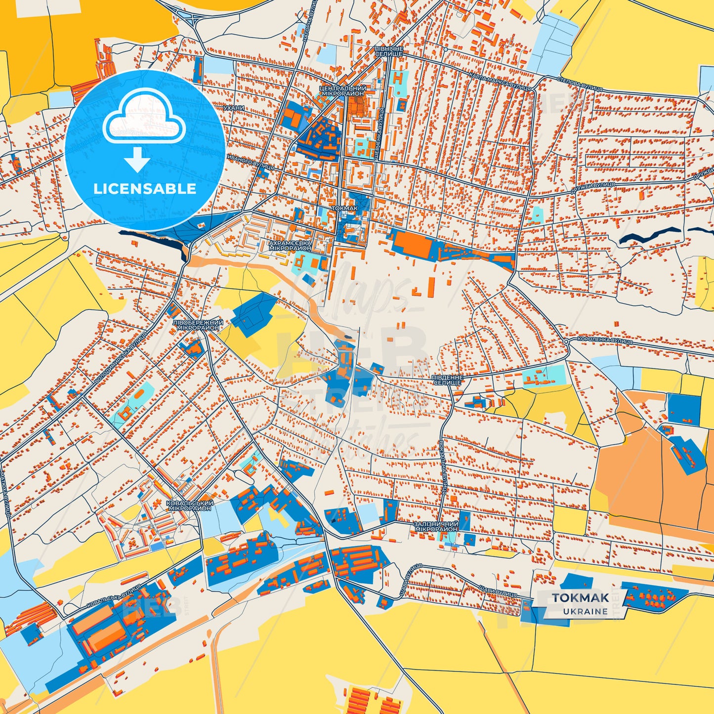Canvas Print Template of Tokmak Street Map
