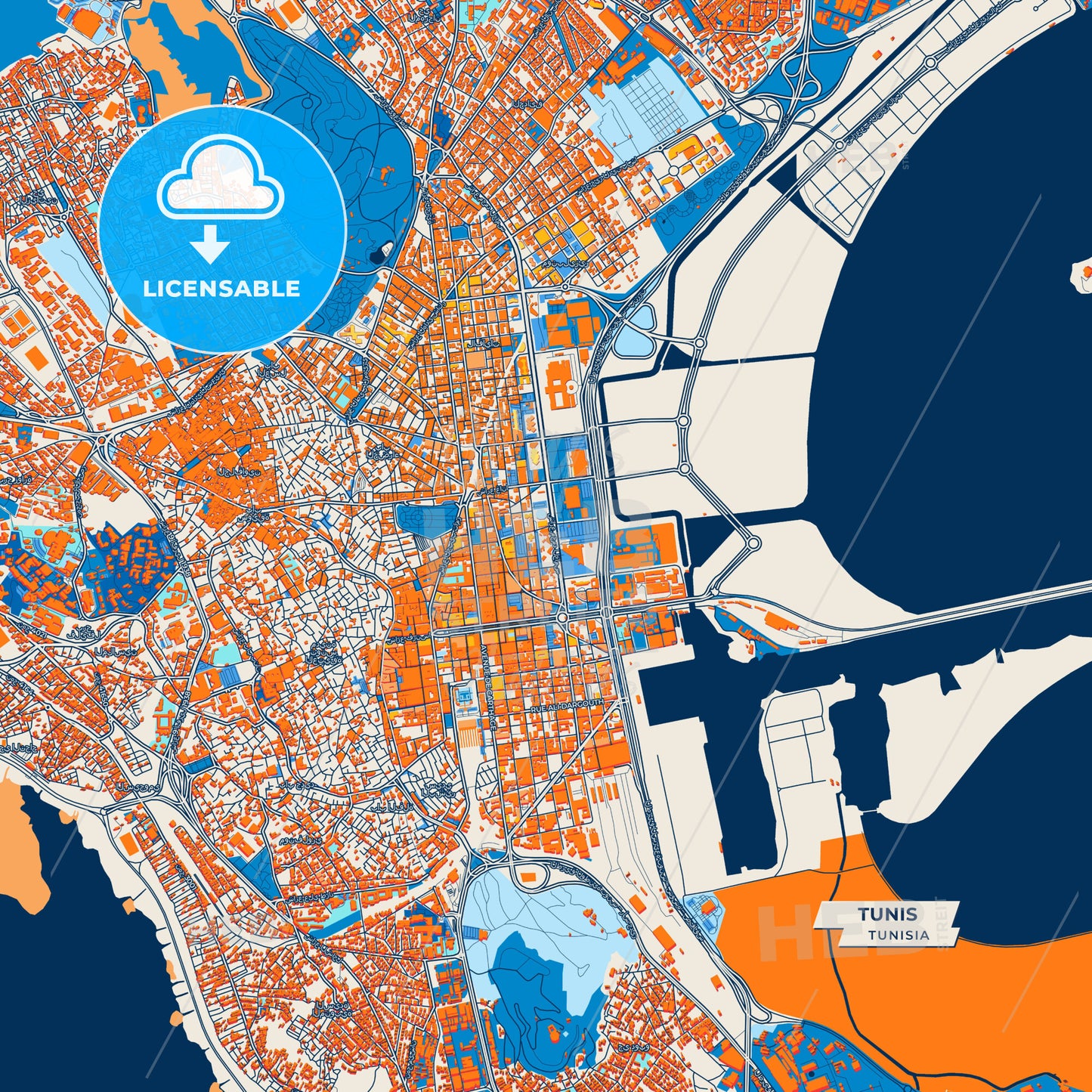 Canvas Print Template of Tunis Street Map