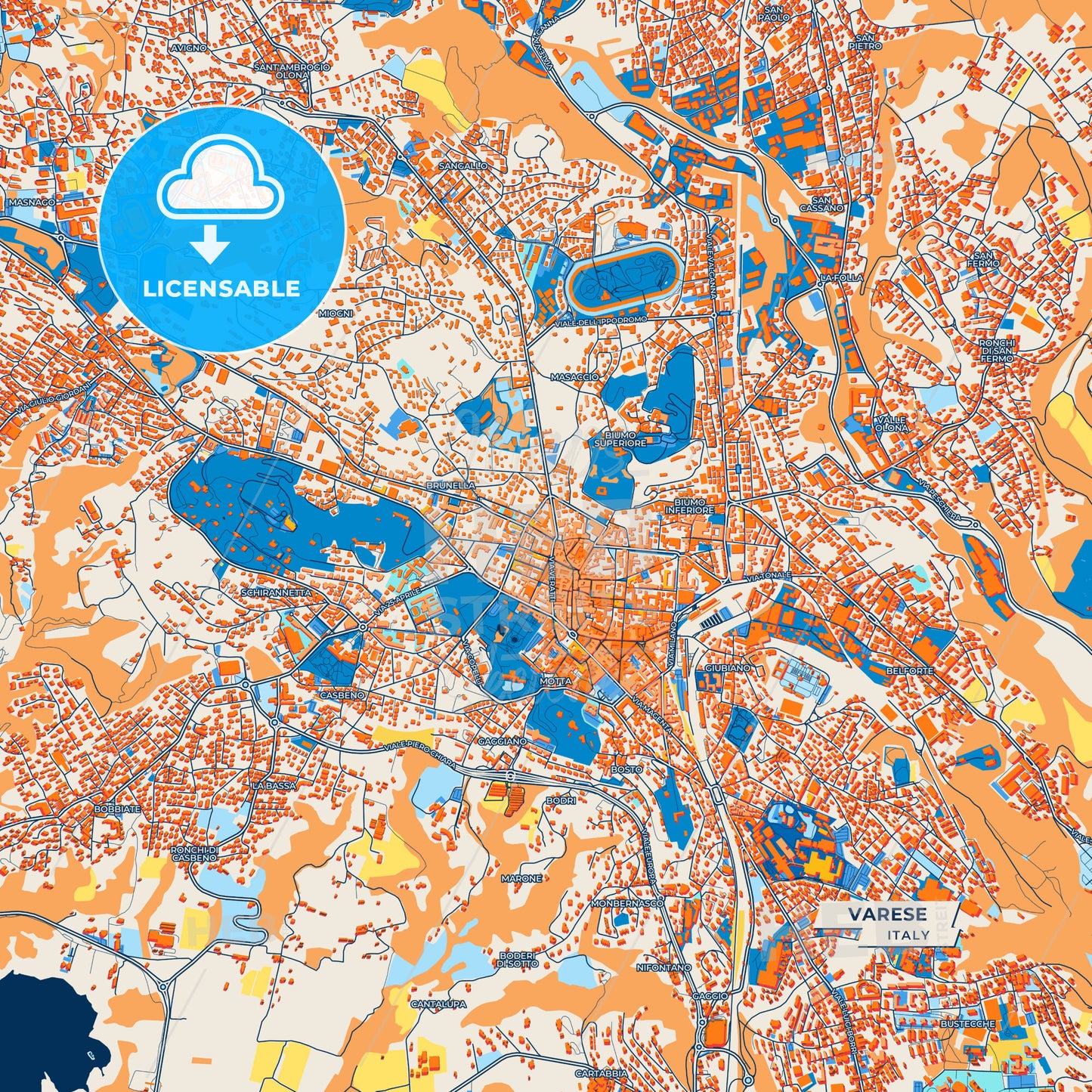 Canvas Print Template of Varese Street Map