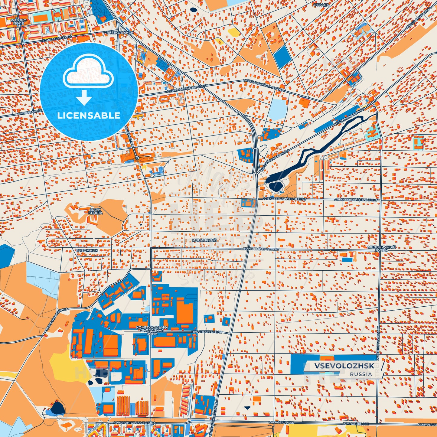 Canvas Print Template of Vsevolozhsk Street Map