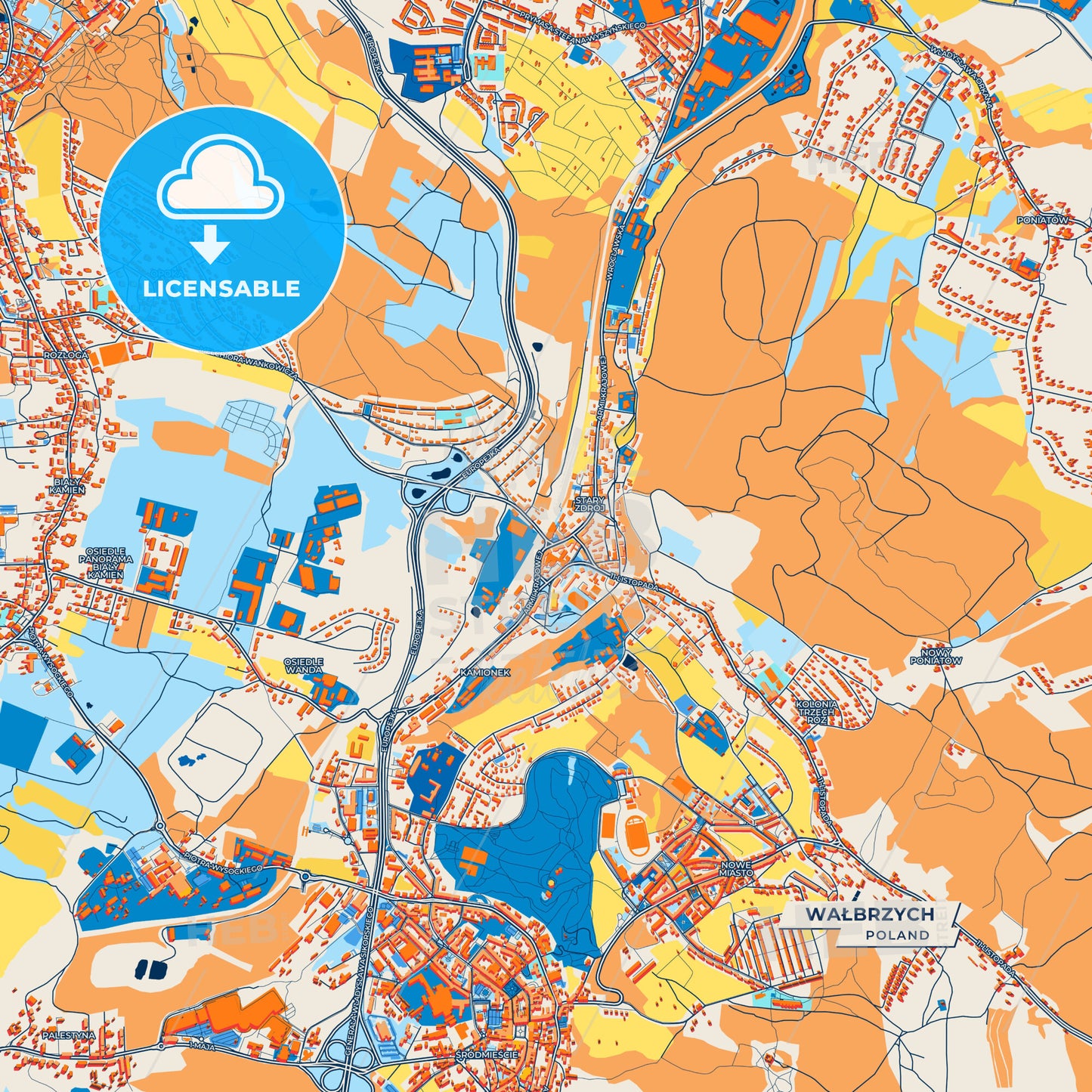Canvas Print Template of Wałbrzych Street Map