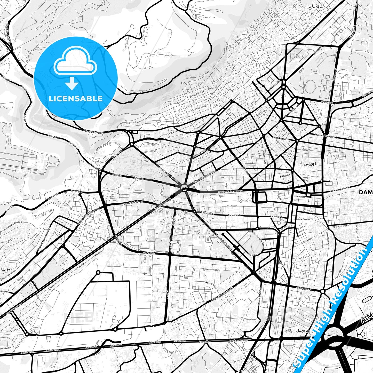 Damascus, Syria Light Map with Street Names, City Names, and Districts