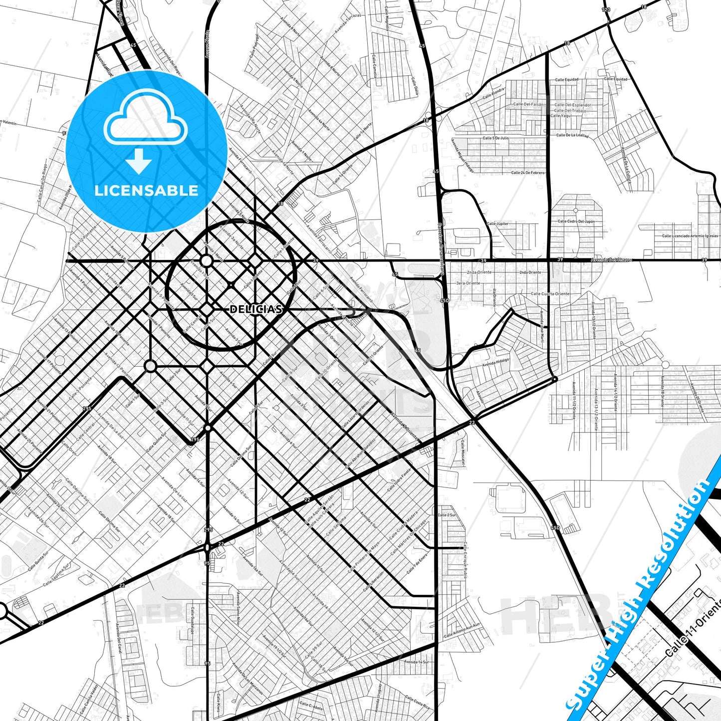 Delicias, Mexico Light Map with Street Names, City Names, and Districts