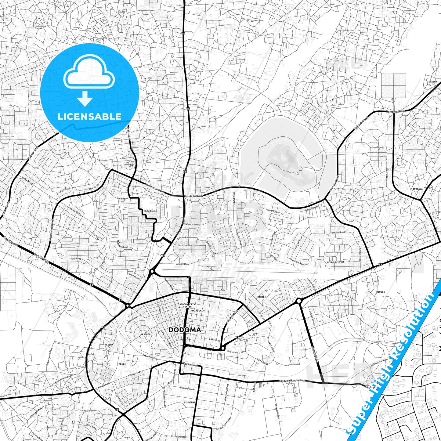 Dodoma, Tanzania Light Map with Street Names, City Names, and Districts