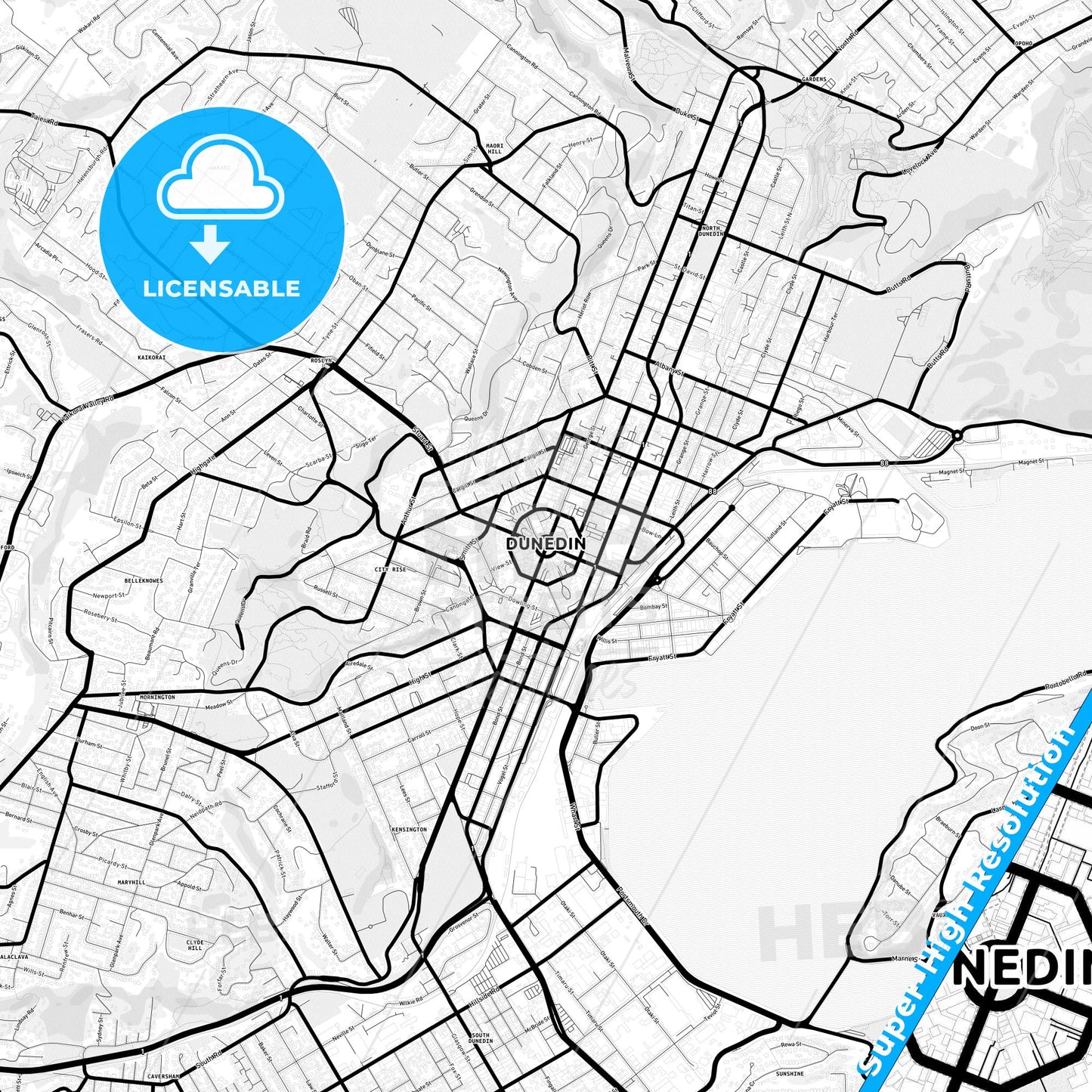 Dunedin, New Zealand Light Map with Street Names, City Names, and Districts