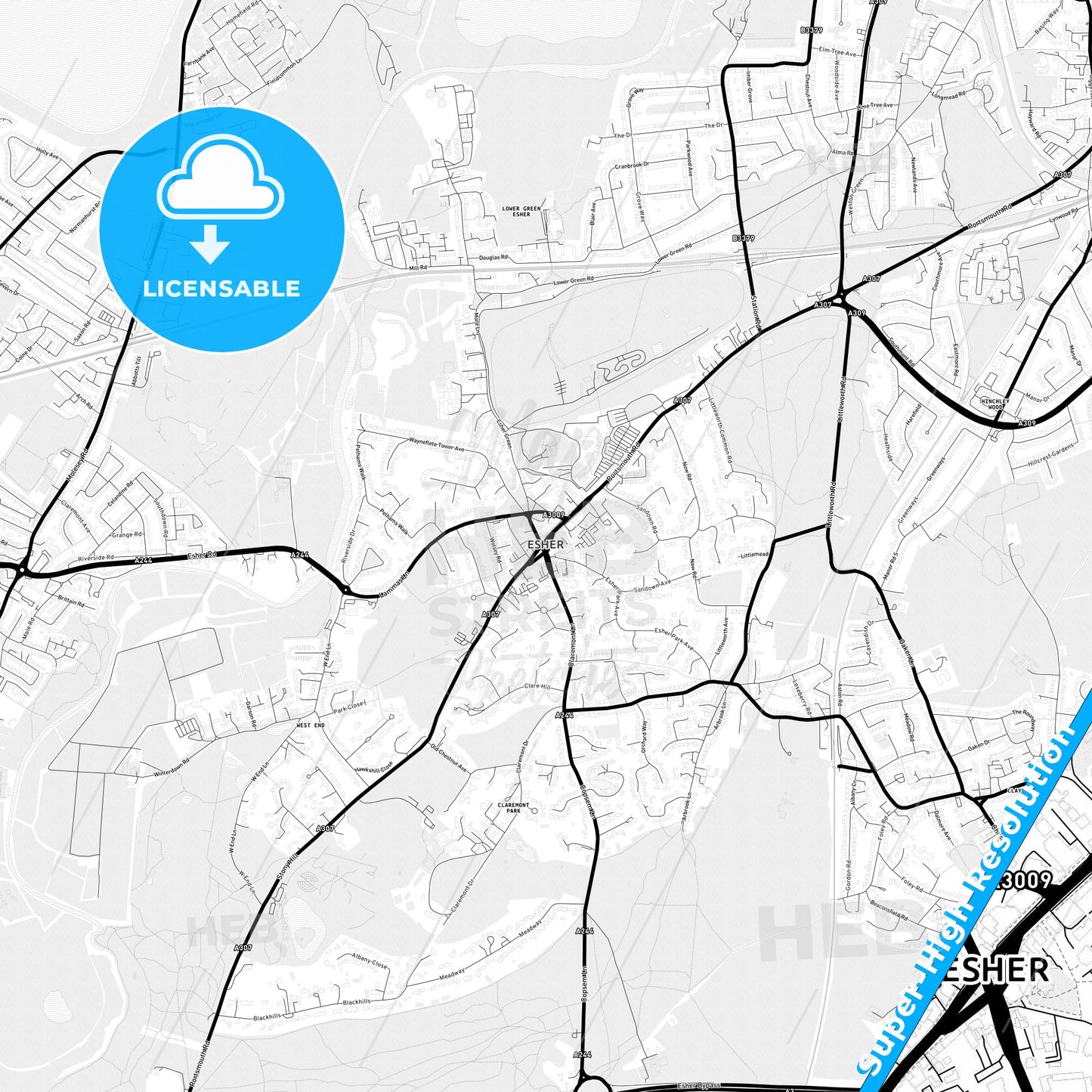 Esher, England Light Map with Street Names, City Names, and Districts