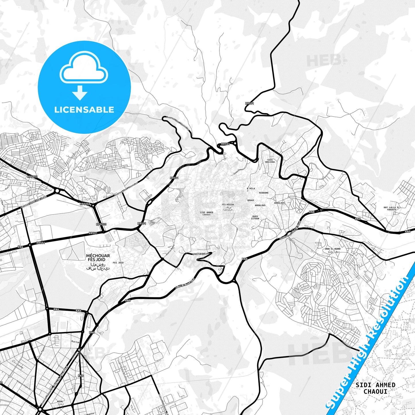 Fes al Bali, Morocco Light Map with Street Names, City Names, and Districts
