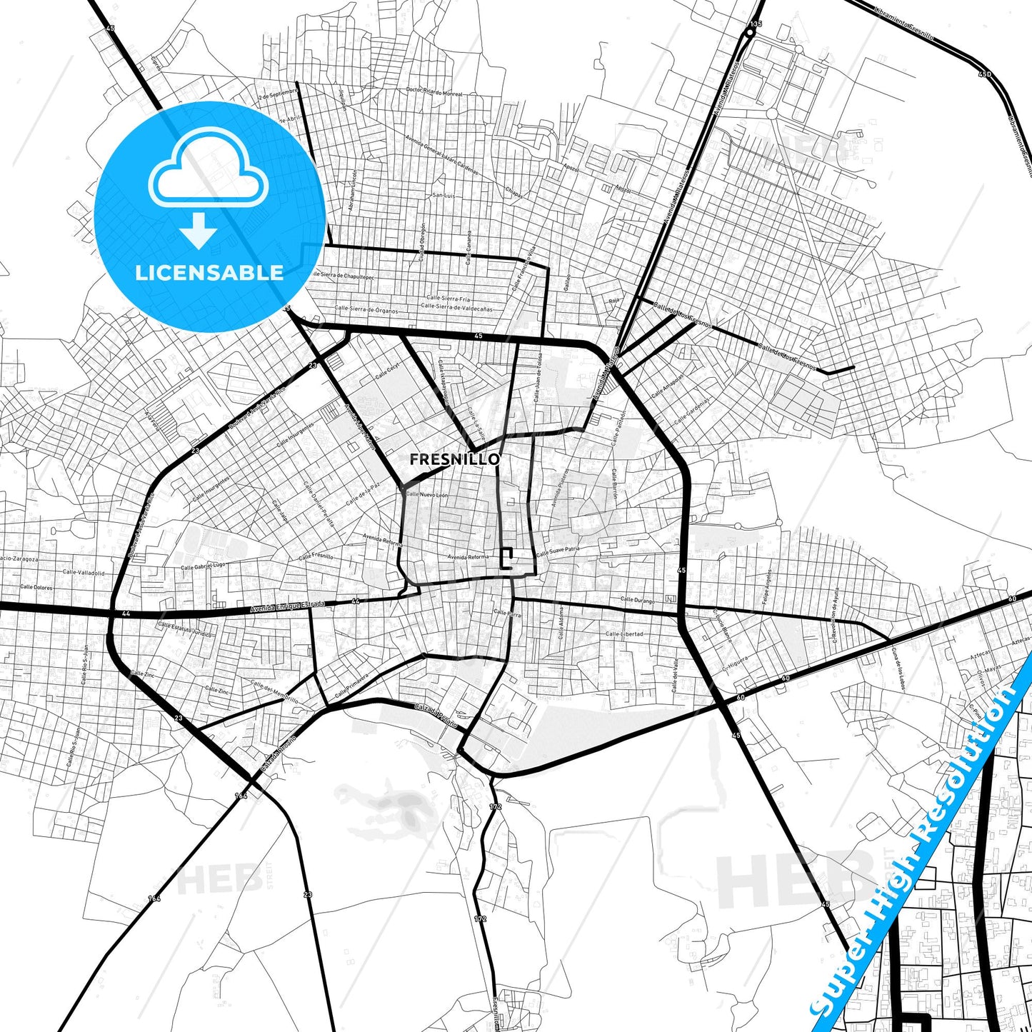 Fresnillo, Mexico Light Map with Street Names, City Names, and Districts