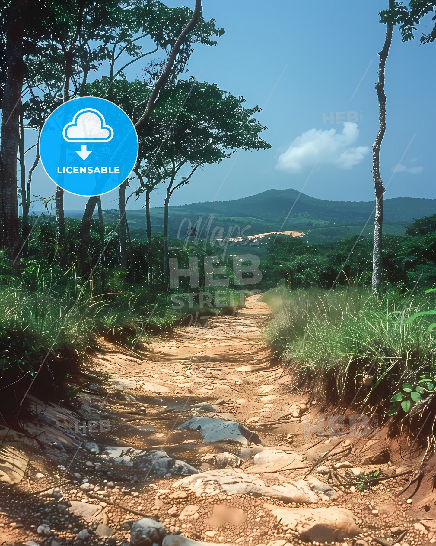 Forest Path Painting, Gabon Africa, Dirt Road Through Vibrant Jungle Artwork, Colorful Digital Oil Painting