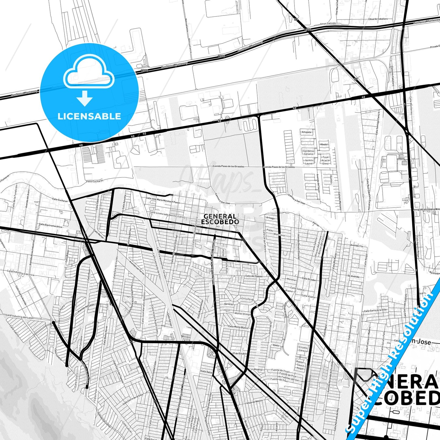 General Escobedo, Mexico Light Map with Street Names, City Names, and Districts