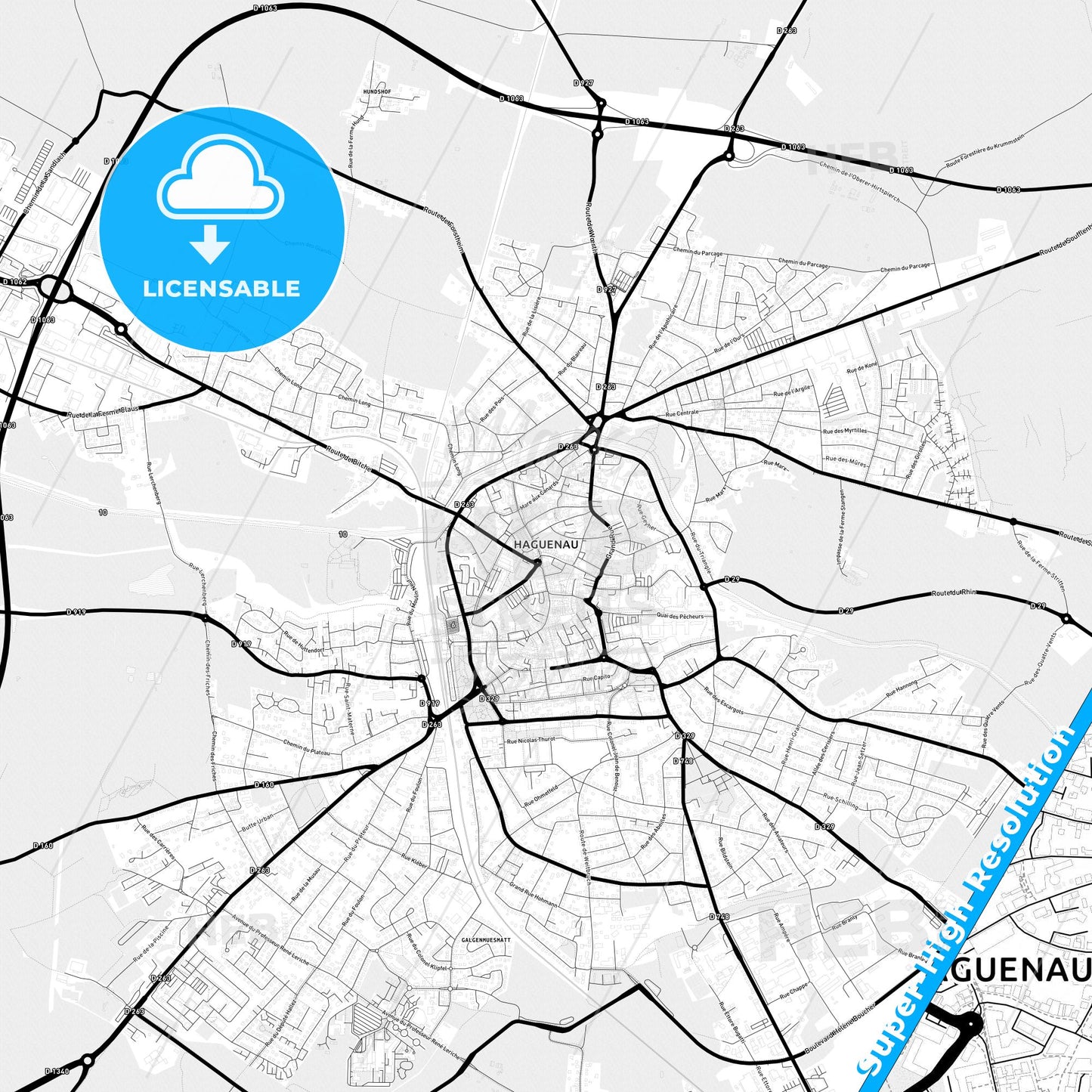 Haguenau, France Light Map with Street Names, City Names, and Districts