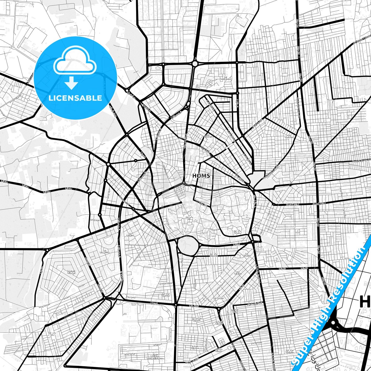 Homs, Syria Light Map with Street Names, City Names, and Districts