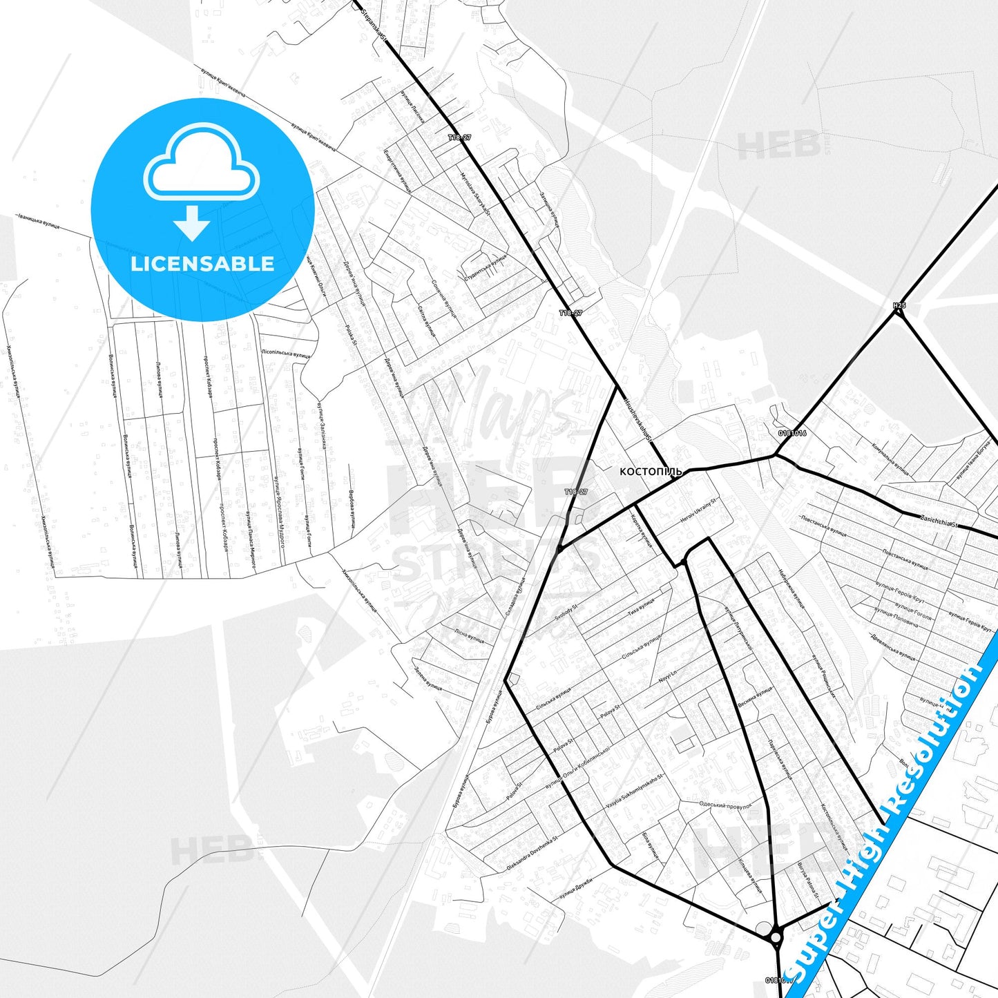Kostopil, Ukraine Light Map with Street Names, City Names, and Districts