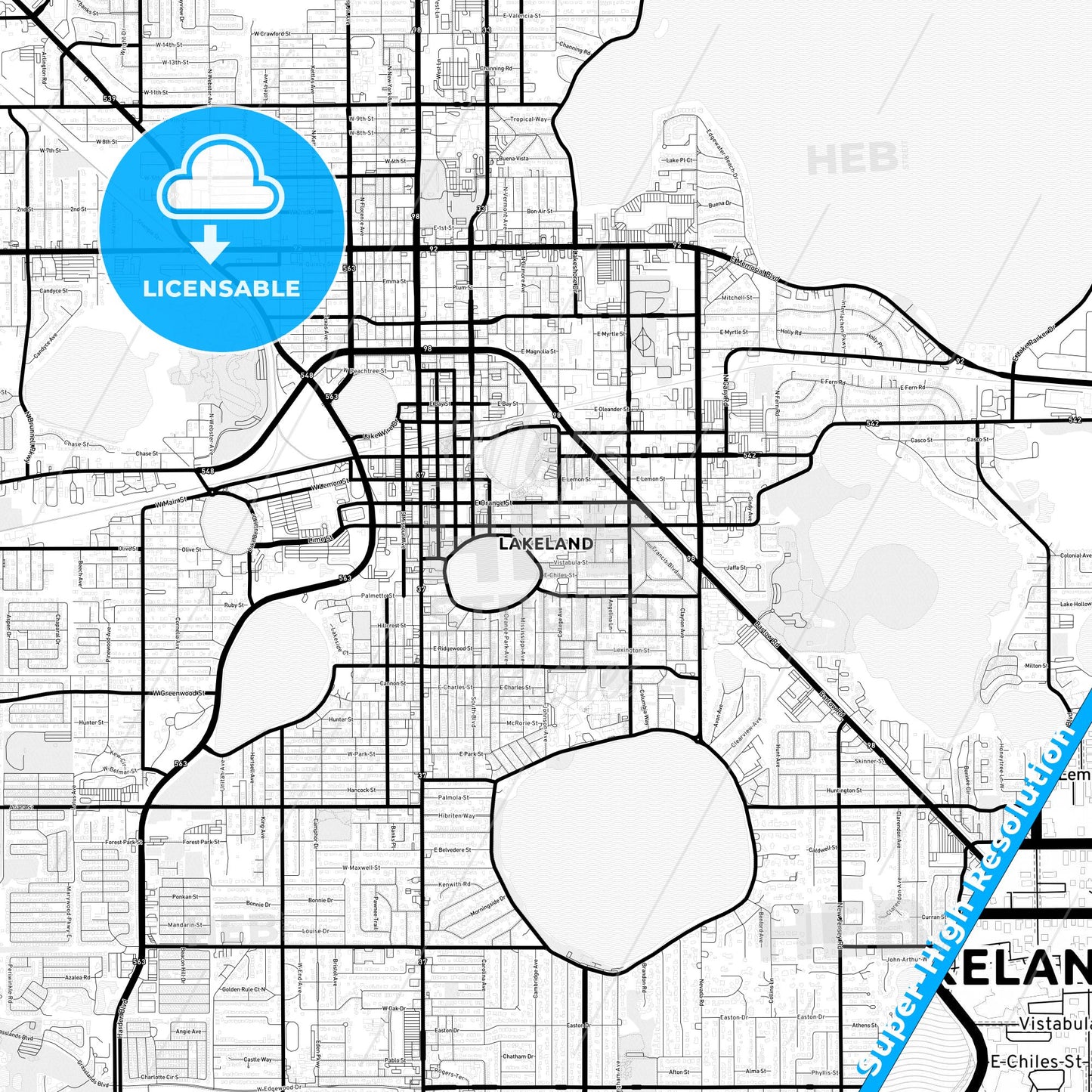 Lakeland, Florida Light Map with Street Names, City Names, and Districts