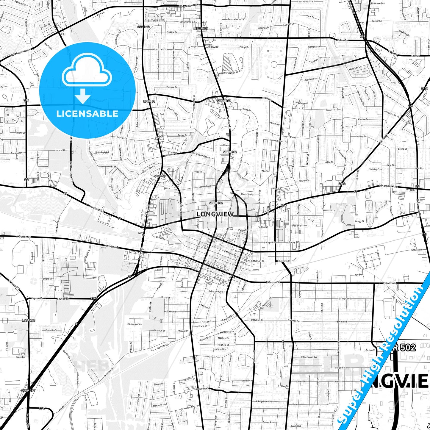 Longview, Texas Light Map with Street Names, City Names, and Districts