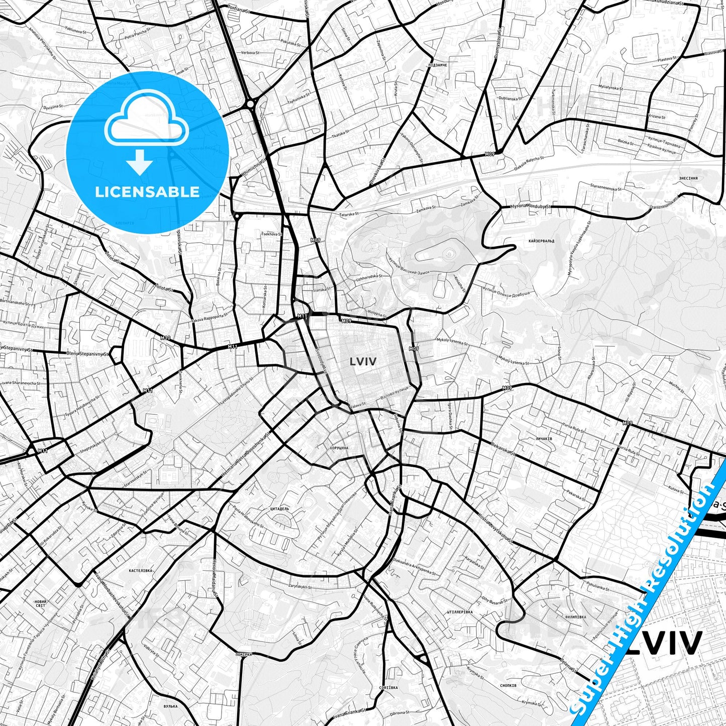 Lviv, Ukraine Light Map with Street Names, City Names, and Districts