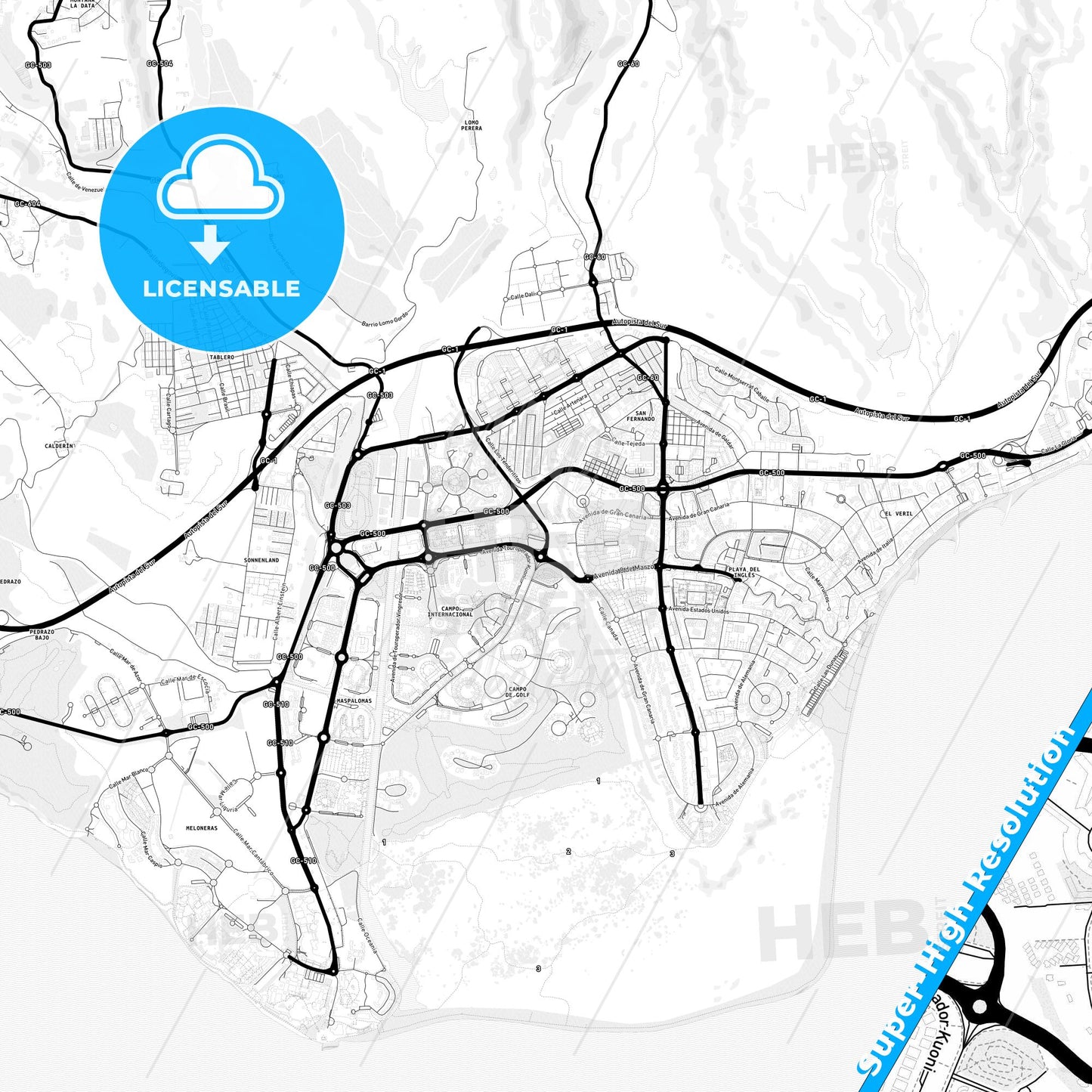 Maspalomas, Spain Light Map with Street Names, City Names, and Districts