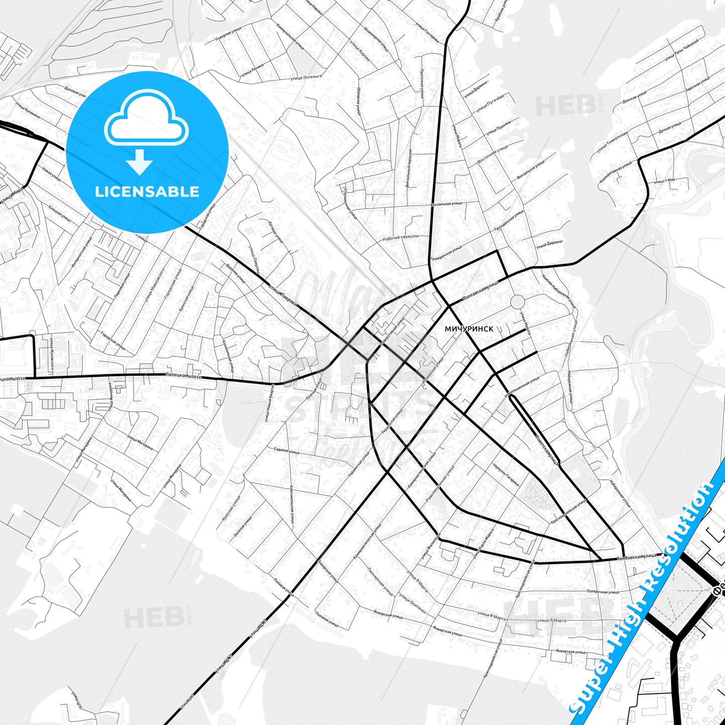Michurinsk, Russia Light Map with Street Names, City Names, and Districts